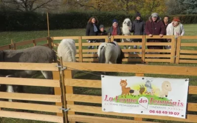 La mini ferme s’est installée au château