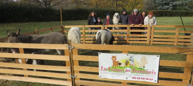 La mini ferme s’est installée au château